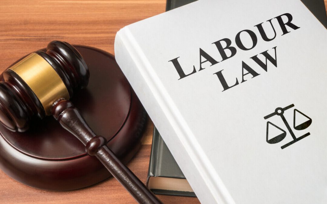Why Hiring an Employment Law Lawyer is Important